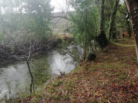 Terreno no Vale do Âncora com Frente de Rio – Gondar e Orbacem, Caminha