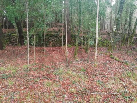 Terreno no Vale do Âncora com Frente de Rio – Gondar e Orbacem, Caminha