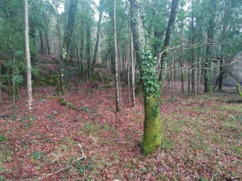 Terreno no Vale do Âncora com Frente de Rio – Gondar e Orbacem, Caminha