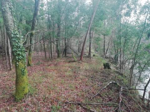 Terreno no Vale do Âncora com Frente de Rio – Gondar e Orbacem, Caminha