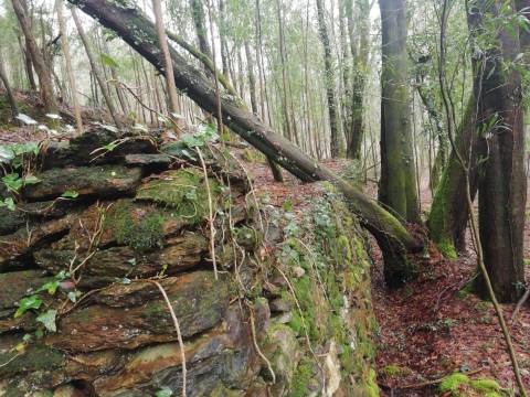 Terreno no Vale do Âncora com Frente de Rio – Gondar e Orbacem, Caminha