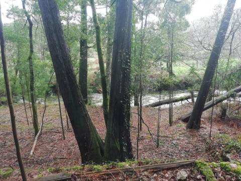 Terreno no Vale do Âncora com Frente de Rio – Gondar e Orbacem, Caminha