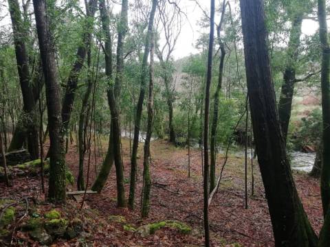 Terreno no Vale do Âncora com Frente de Rio – Gondar e Orbacem, Caminha