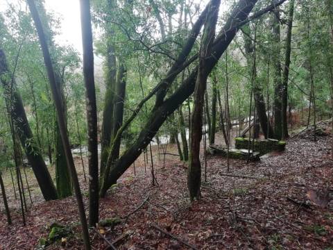 Terreno no Vale do Âncora com Frente de Rio – Gondar e Orbacem, Caminha