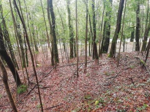 Terreno no Vale do Âncora com Frente de Rio – Gondar e Orbacem, Caminha