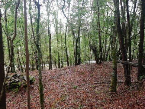 Terreno no Vale do Âncora com Frente de Rio – Gondar e Orbacem, Caminha
