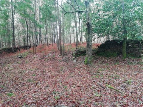 Terreno no Vale do Âncora com Frente de Rio – Gondar e Orbacem, Caminha