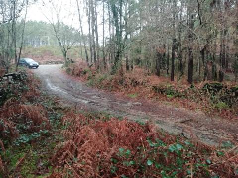 Terreno no Vale do Âncora com Frente de Rio – Gondar e Orbacem, Caminha