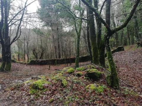 Terreno no Vale do Âncora com Frente de Rio – Gondar e Orbacem, Caminha