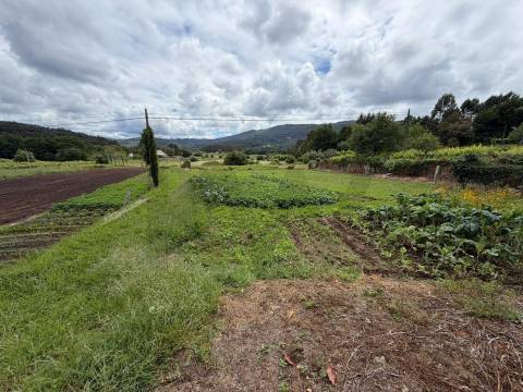 Terreno urbanizável em Riba de Âncora, Caminha