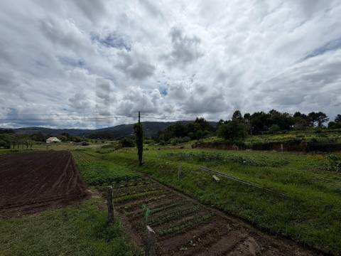 Terreno urbanizável em Riba de Âncora, Caminha