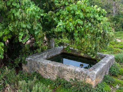 Propriedade Exclusiva na Touça (V.N. de Foz-Côa): Moradia, Palheiros e Vasta Área Agrícola Murada