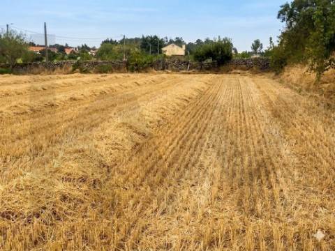 Propriedade Exclusiva na Touça (V.N. de Foz-Côa): Moradia, Palheiros e Vasta Área Agrícola Murada
