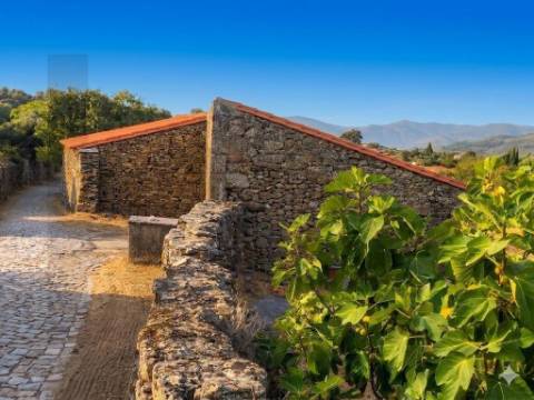 Propriedade Exclusiva na Touça (V.N. de Foz-Côa): Moradia, Palheiros e Vasta Área Agrícola Murada