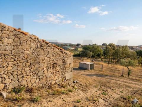 Propriedade Exclusiva na Touça (V.N. de Foz-Côa): Moradia, Palheiros e Vasta Área Agrícola Murada