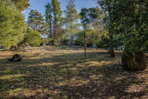 Quinta T5 exclusiva - Monte Córdova, Sto. Tirso | 16.150m² de privacidade, natureza e potencial