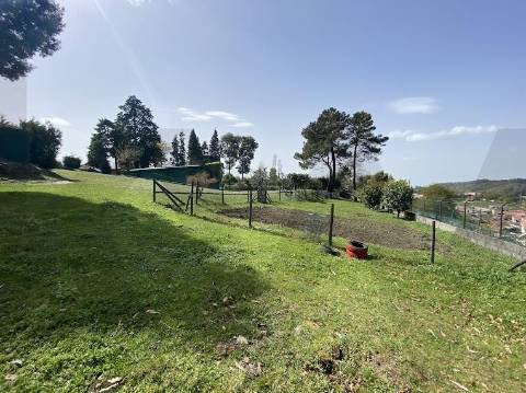 Quinta T5 exclusiva - Monte Córdova, Sto. Tirso | 16.150m² de privacidade, natureza e potencial