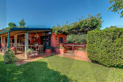Quinta T5 exclusiva - Monte Córdova, Sto. Tirso | 16.150m² de privacidade, natureza e potencial