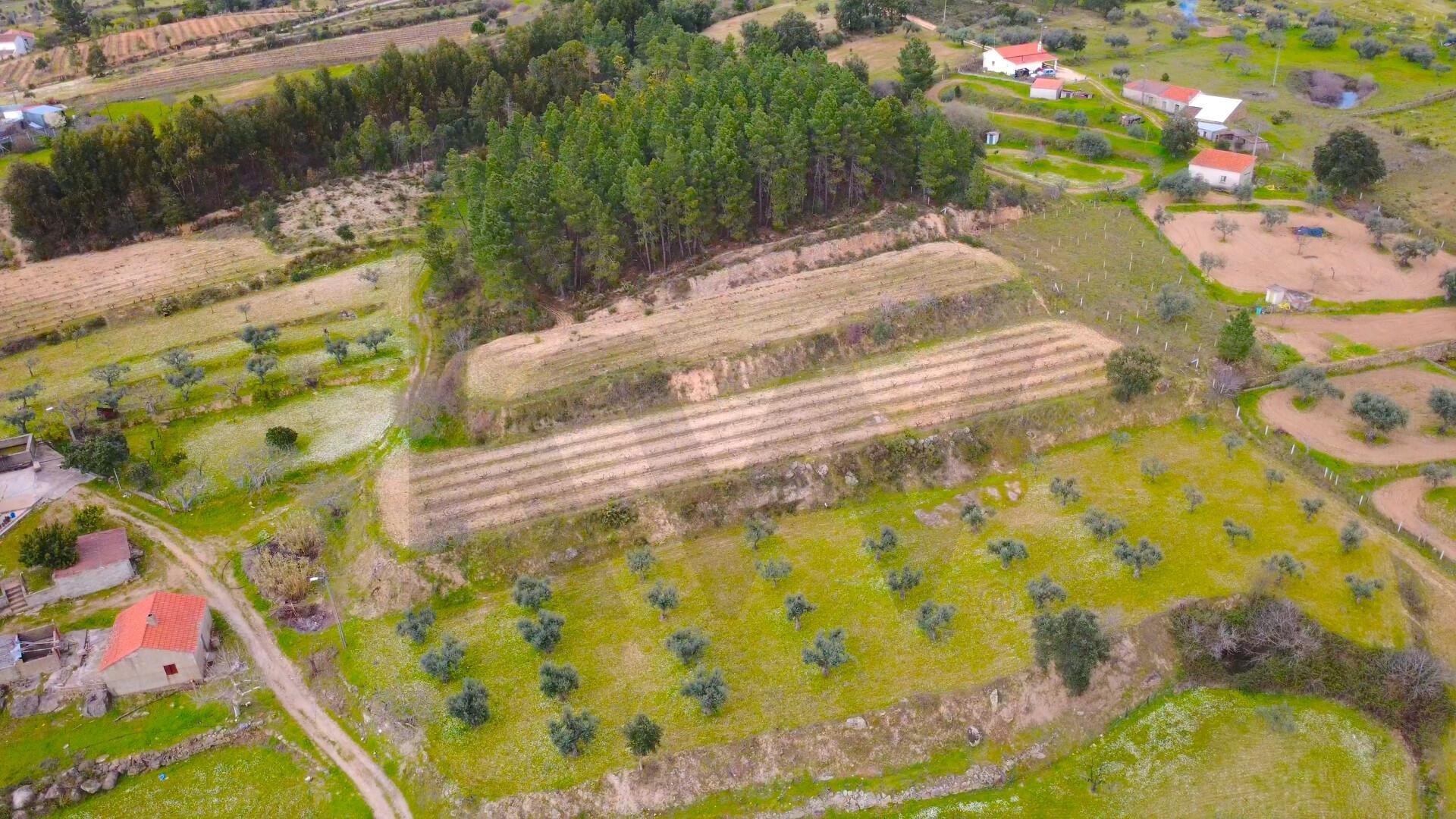 Quinta com moradia e terreno em Vale de Prazeres, Fundão
