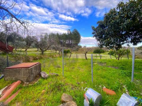 Quinta com moradia e terreno em Vale de Prazeres, Fundão