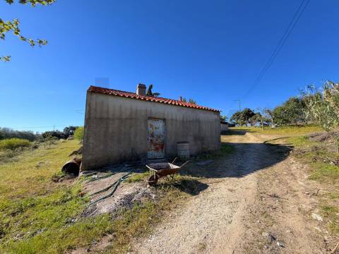 Quinta com moradia e terreno em Vale de Prazeres, Fundão