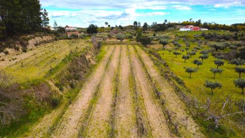 Quinta com moradia e terreno em Vale de Prazeres, Fundão