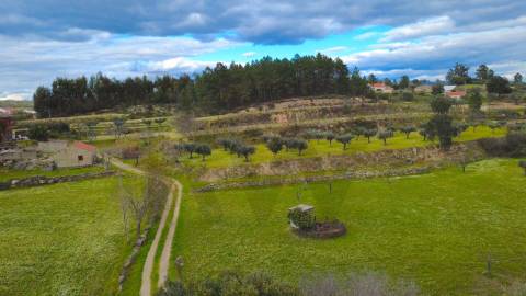 Quinta com moradia e terreno em Vale de Prazeres, Fundão
