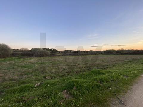 Quinta com moradia e terreno em Vale de Prazeres, Fundão