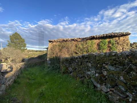 Quinta com moradia e terreno em Vale de Prazeres, Fundão