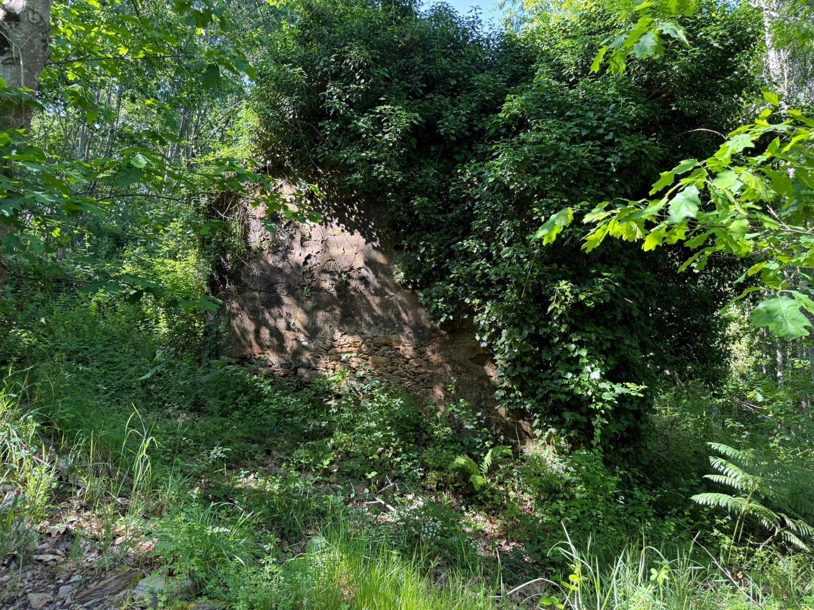 Propriedade mista com 53 hectares em Canedo, Santa Maria da Feira