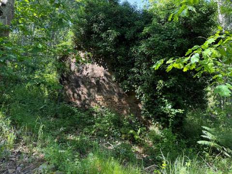 Propriedade mista com 53 hectares em Canedo, Santa Maria da Feira