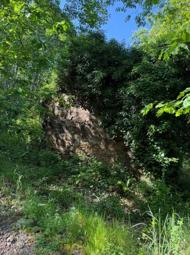 Propriedade mista com 53 hectares em Canedo, Santa Maria da Feira