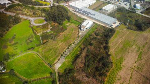 Terreno Industrial 13.000 m² | Zona Industrial e Empresarial de Campo | A4 e A41 a 5 min | Valongo