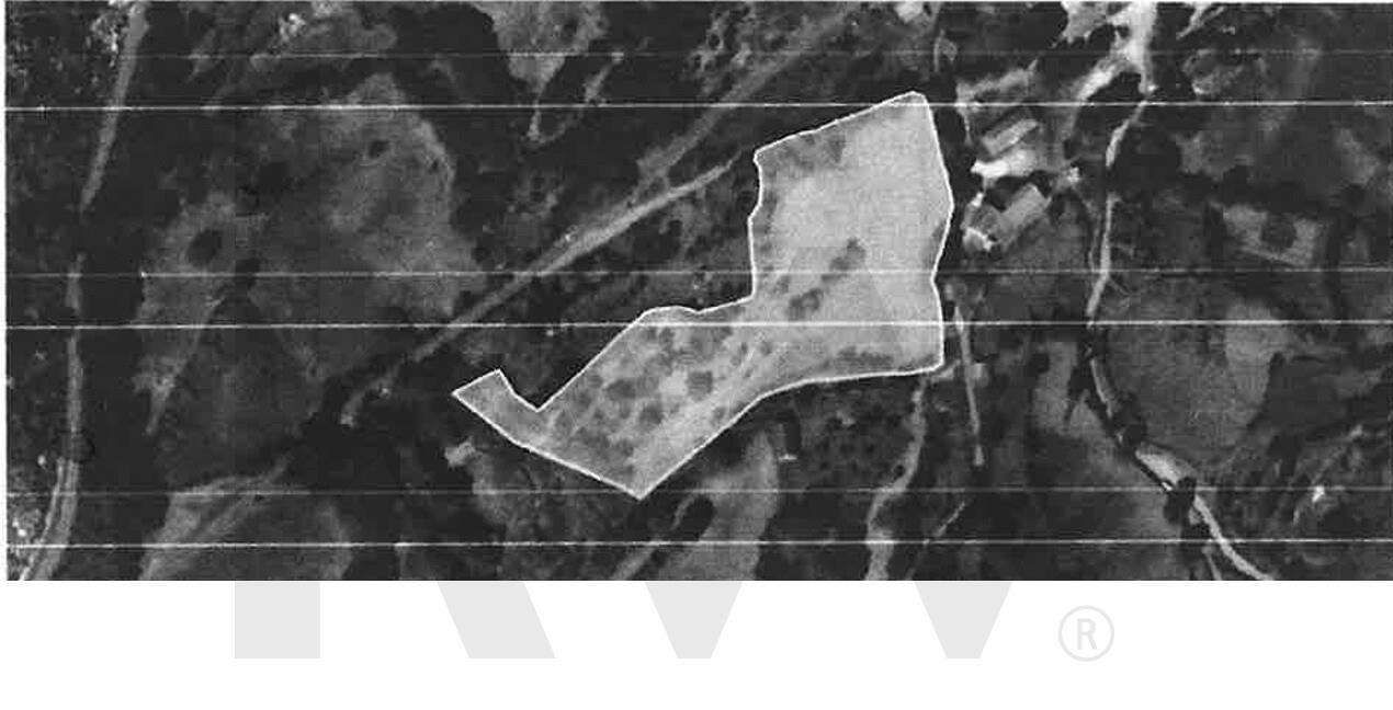 Terrenos Rústicos para Venda  com 4800 m2– Lugar de Asnela, Rio Douro – Cabeceiras de Basto
