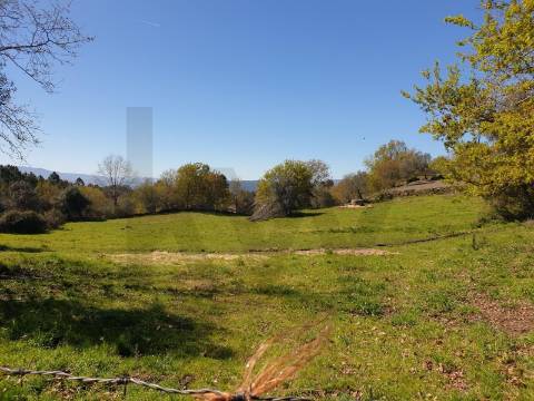 Terrenos Rústicos para Venda  com 4800 m2– Lugar de Asnela, Rio Douro – Cabeceiras de Basto