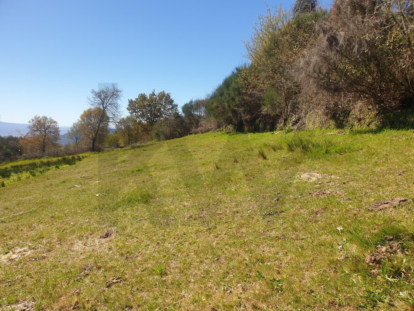 Terreno Rústico em Asnela (Cabeceiras de Basto) – 2800m² de Natureza e Potencial no Coração do Minho