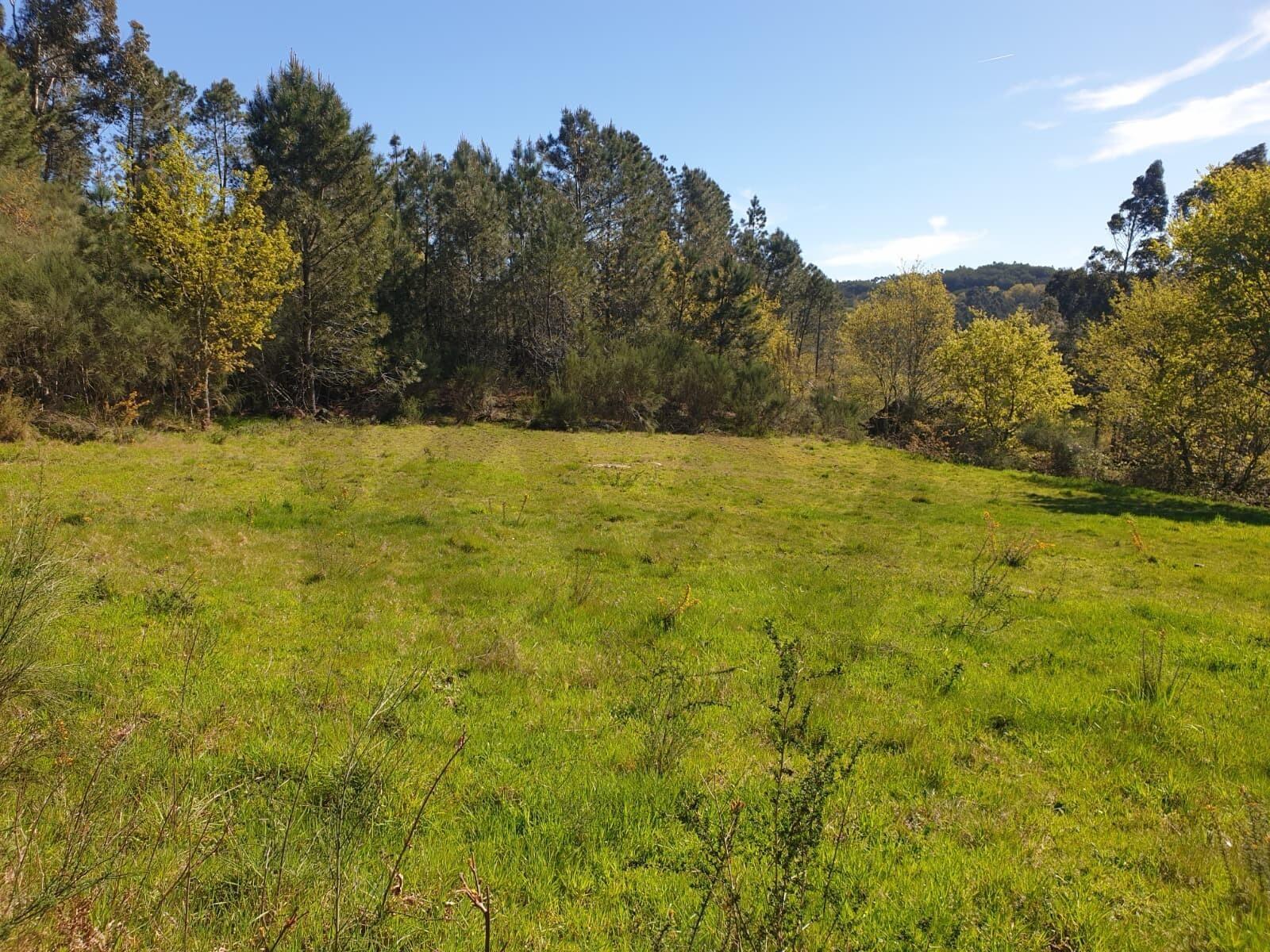Terreno Rústico em Asnela (Cabeceiras de Basto) – 2800m² de Natureza e Potencial no Coração do Minho