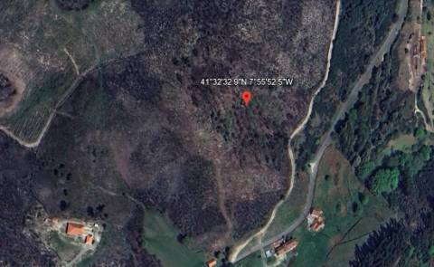 Terreno Rústico com 7000 m² em Rio Douro, Cabeceiras de Basto