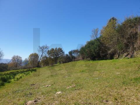 Terreno Rústico com 1430 m² em Rio Douro, Cabeceiras de Basto 