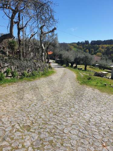 Terreno Rústico para Venda  com 2500m2– Lugar de Asnela, Rio Douro – Cabeceiras de Basto