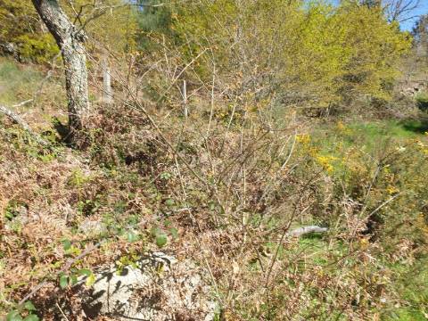 Terreno Rústico para Venda  com 2500m2– Lugar de Asnela, Rio Douro – Cabeceiras de Basto