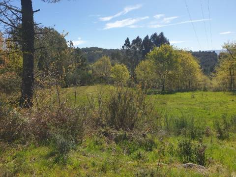 Terreno Rústico para Venda  com 2500m2– Lugar de Asnela, Rio Douro – Cabeceiras de Basto