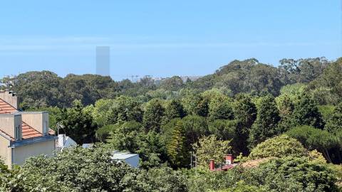 T1 Nevogilde Premium | Varanda Poente, Vista Parque e Garagem 