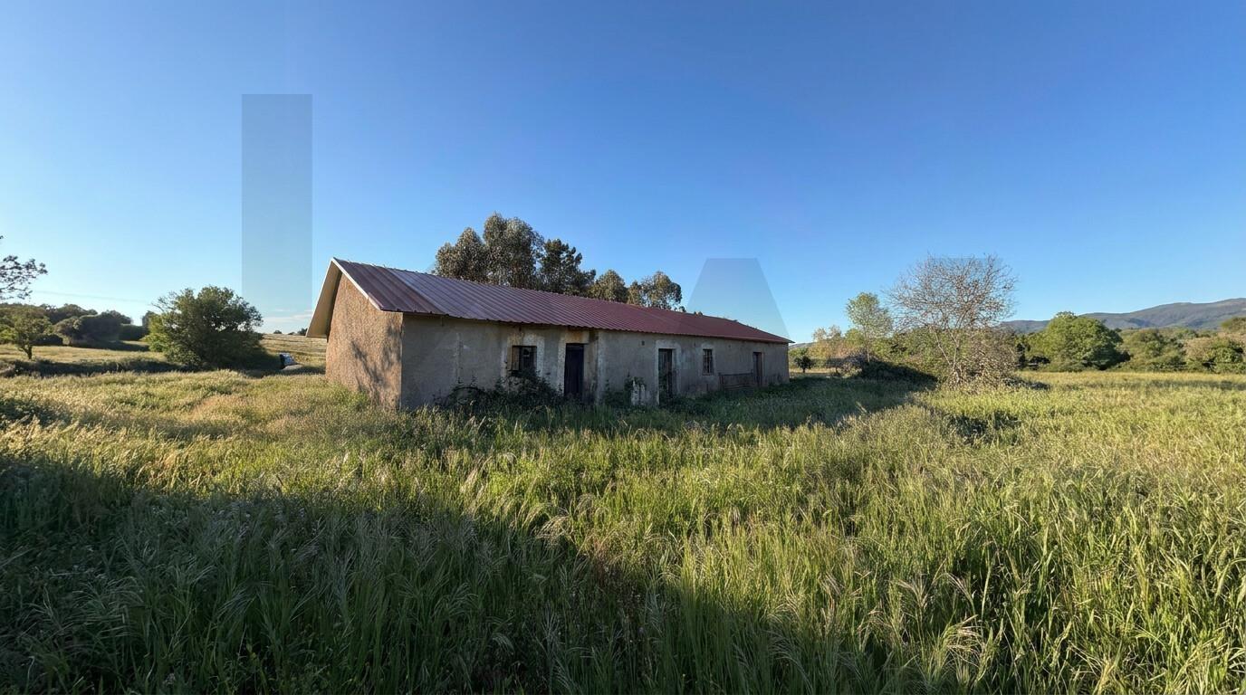 🏡 Moradia para Reconstrução com Terreno de 1,2 Hectares e Ribeira – Enxames