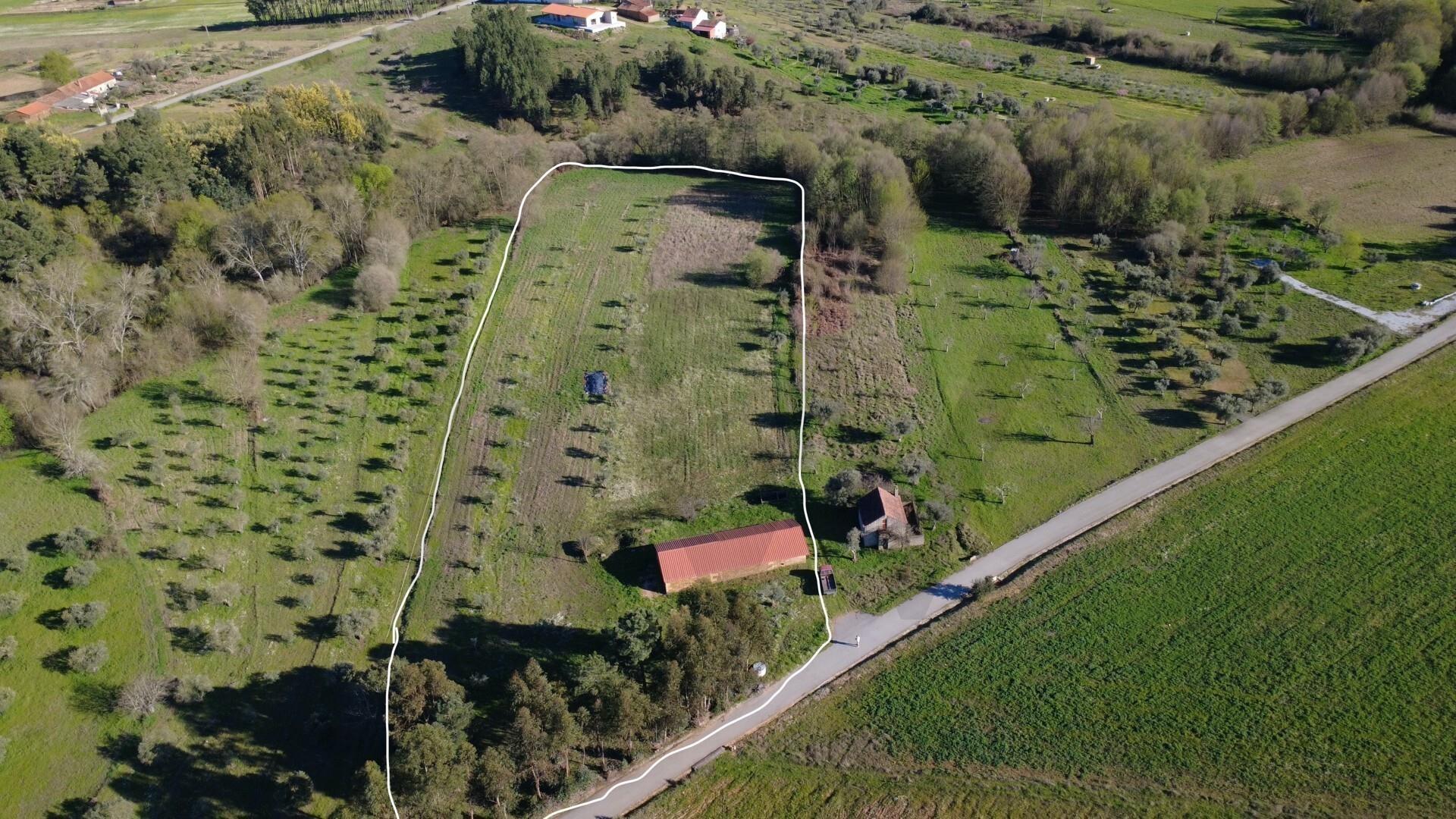 🏡 Moradia para Reconstrução com Terreno de 1,2 Hectares e Ribeira – Enxames