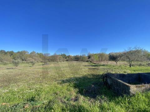 🏡 Moradia para Reconstrução com Terreno de 1,2 Hectares e Ribeira – Enxames