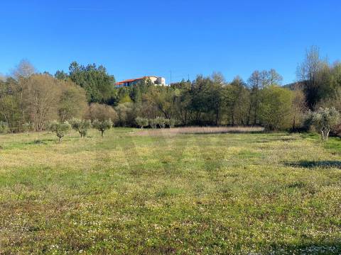 🏡 Moradia para Reconstrução com Terreno de 1,2 Hectares e Ribeira – Enxames