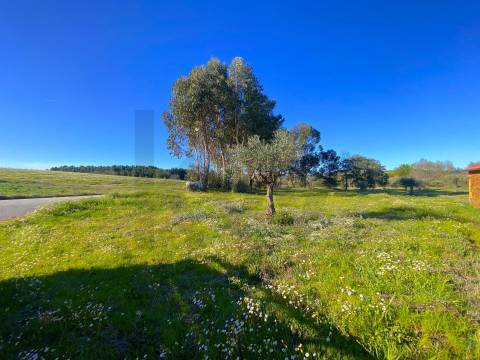 🏡 Moradia para Reconstrução com Terreno de 1,2 Hectares e Ribeira – Enxames