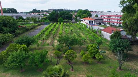 Moradia T5 em Vila das Aves com piscina exterior
