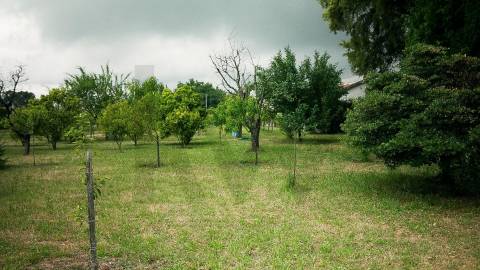 Moradia T5 em Vila das Aves com piscina exterior